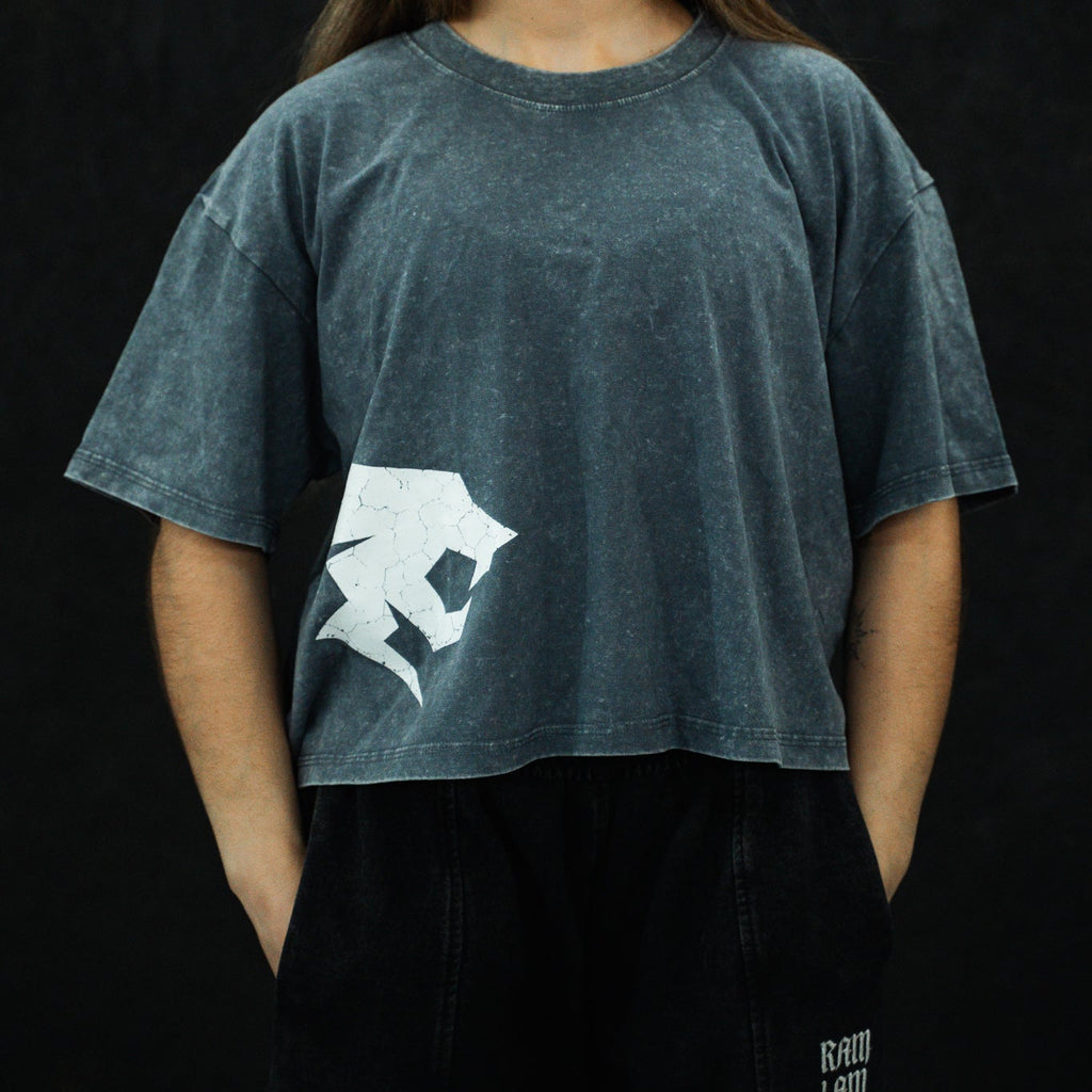 Polera crop oversize Gray PRIMAL