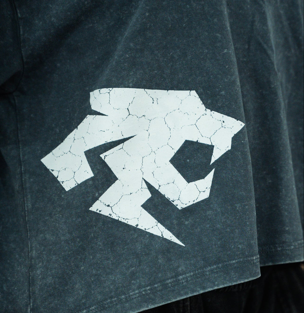 Polera crop oversize Gray PRIMAL