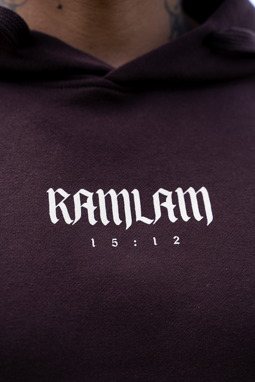 Hoodie regular Brown